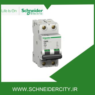 کلید مينياتوری دو پل 10 آمپر اشنایدر 24336