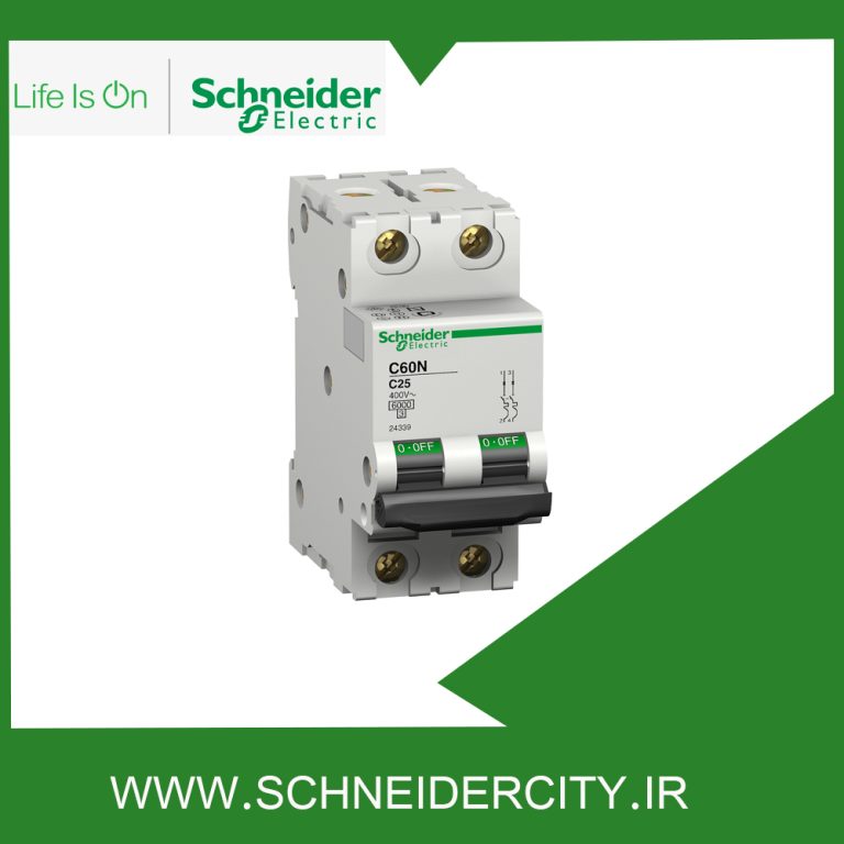 کلید مينياتوری دو پل 10 آمپر اشنایدر 24336