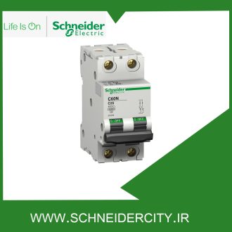 کلید مينياتوری دو پل 20 آمپر اشنایدر 24338