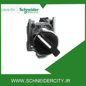سلکتور سوئیچ فلزی دو حالته بازگشت فنری اشنایدر XB4BD41