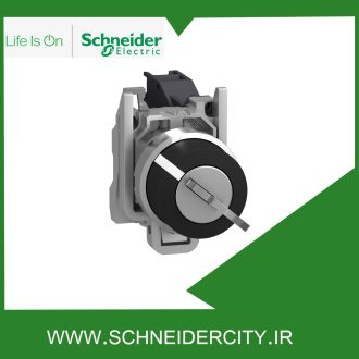 سلکتور سوئیچ فلزی دو حالته ماندگار قفل شو اشنایدر XB4BG41