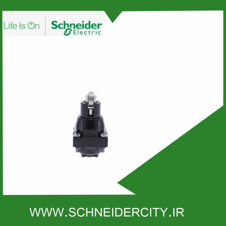 کلگی میکروسوئیچ اشنایدر ZCKD02